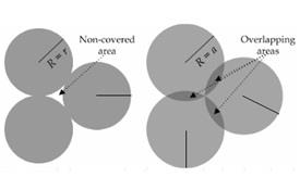 Circle Shapes Cells.jpg